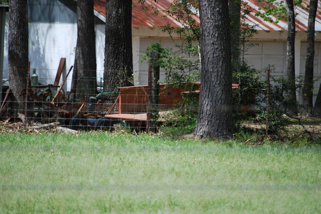DSC_04211