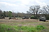 DSC_0341.JPG
