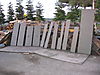 IMG_16696.JPG