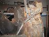 IMG_1552a.jpg
