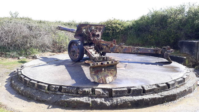 Maisy Battery