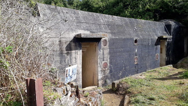 Maisy Battery