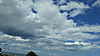 20190606_130408.jpg