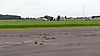 20190609_103435.jpg