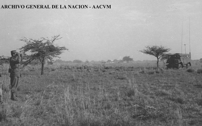 255873_R_-_copia