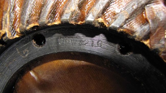 Ring_1