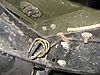 IMG_233921.jpg