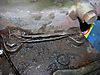DSCN68441.JPG