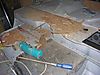 DSCN7775.JPG