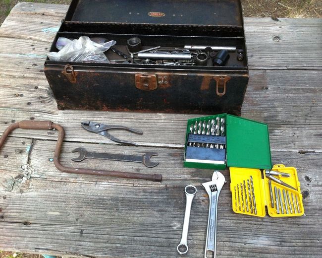 Tahoe flea 6/28/16