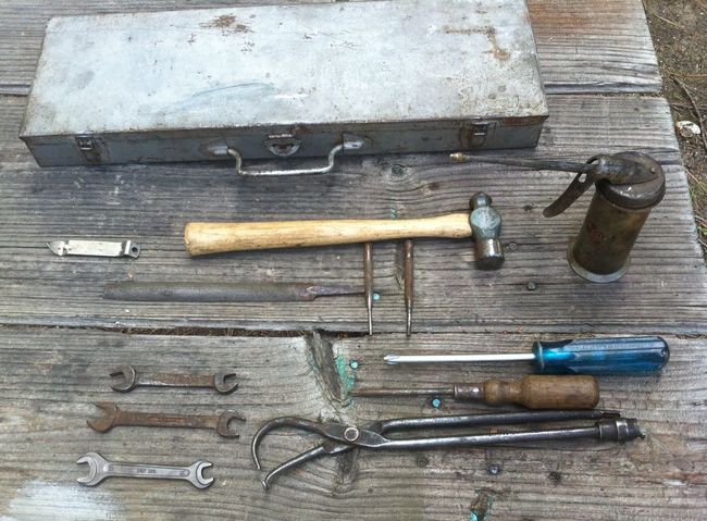 Tahoe flea 6/5/16