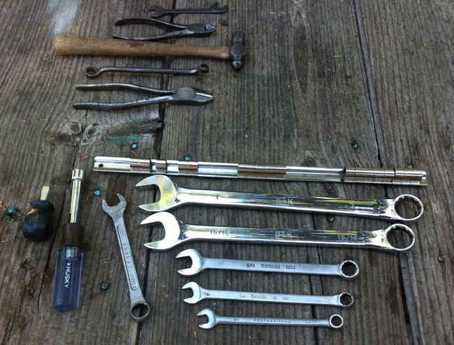 Tahoe flea 7/2/16