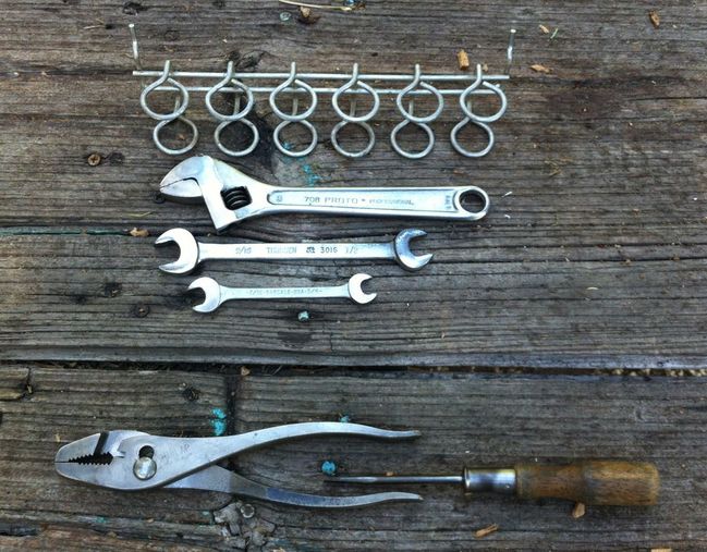 Tahoe flea 7/10/16