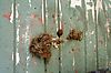 DSC040631.JPG