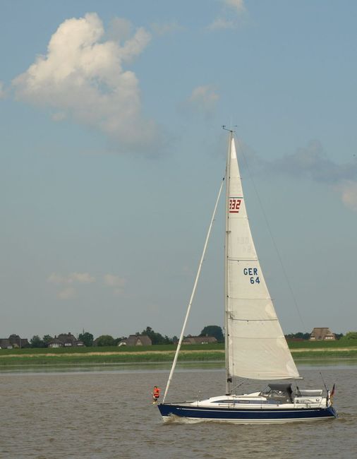P6033564crop