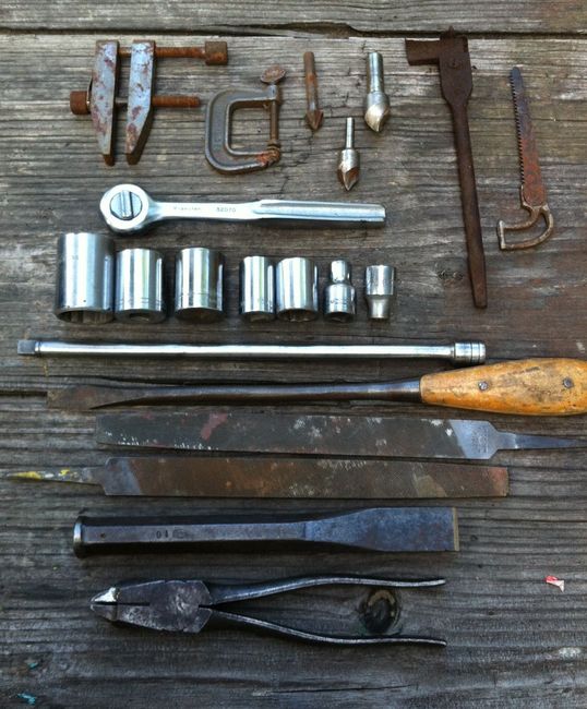 Tahoe flea 6/4/17