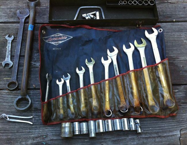 Tahoe flea 6/10/17