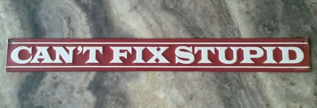 Can't fix stupid