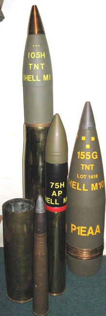 shells1