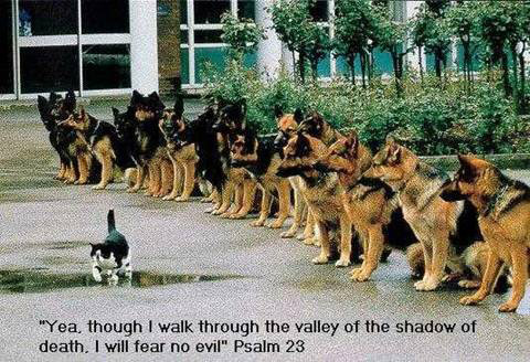 walk