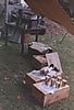 ration-line.jpg