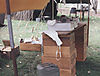 serving-line-2.jpg