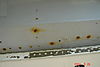 DSC098941.JPG
