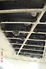 DSC098971.jpg