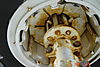 DSC099062.JPG
