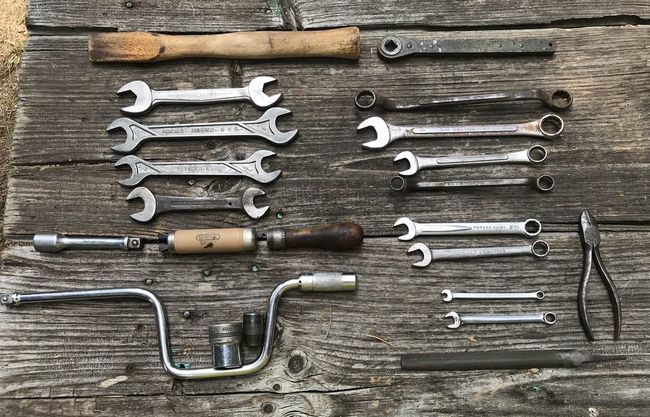 Tahoe flea 7/29/18