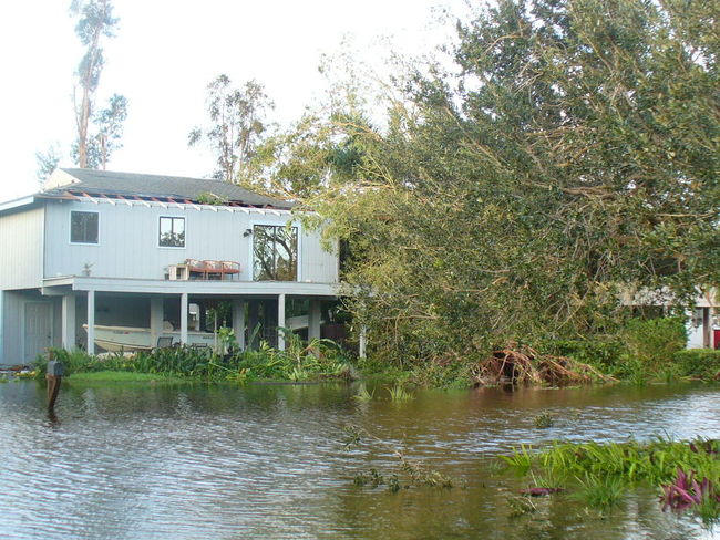 Irma