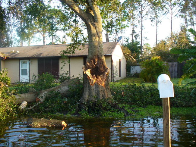 Irma