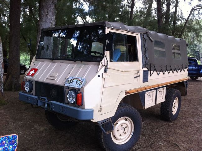 Kauai Pinzgauer