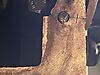 IMG_60803.JPG