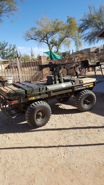 Mule