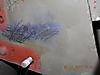 DSCN12731.JPG
