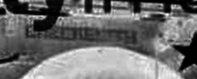 3137452_name