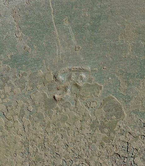 DSC02696