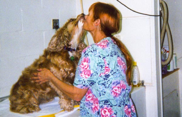 Dog day care chelsea al