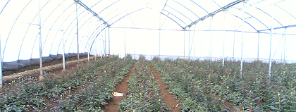 Manufacturers of irrigation systems in india
