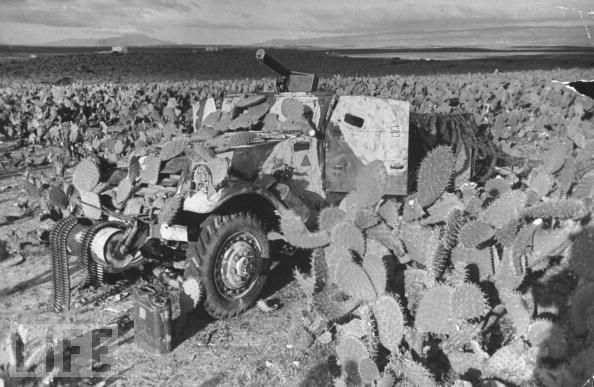 Halftrack_w_machine_gunmmmmm1