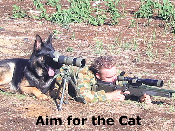 Hunting-Dog