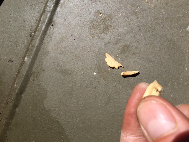 Debris in my MB fuel tank