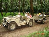 Jeep_Tours