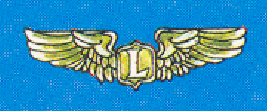 L4_pin_copy