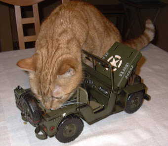 Jeep