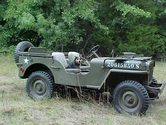 MVC-012S2