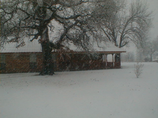 2011 snow