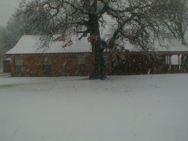 2011 snow-1