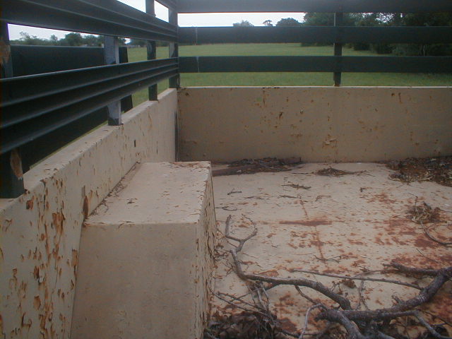 P4230003